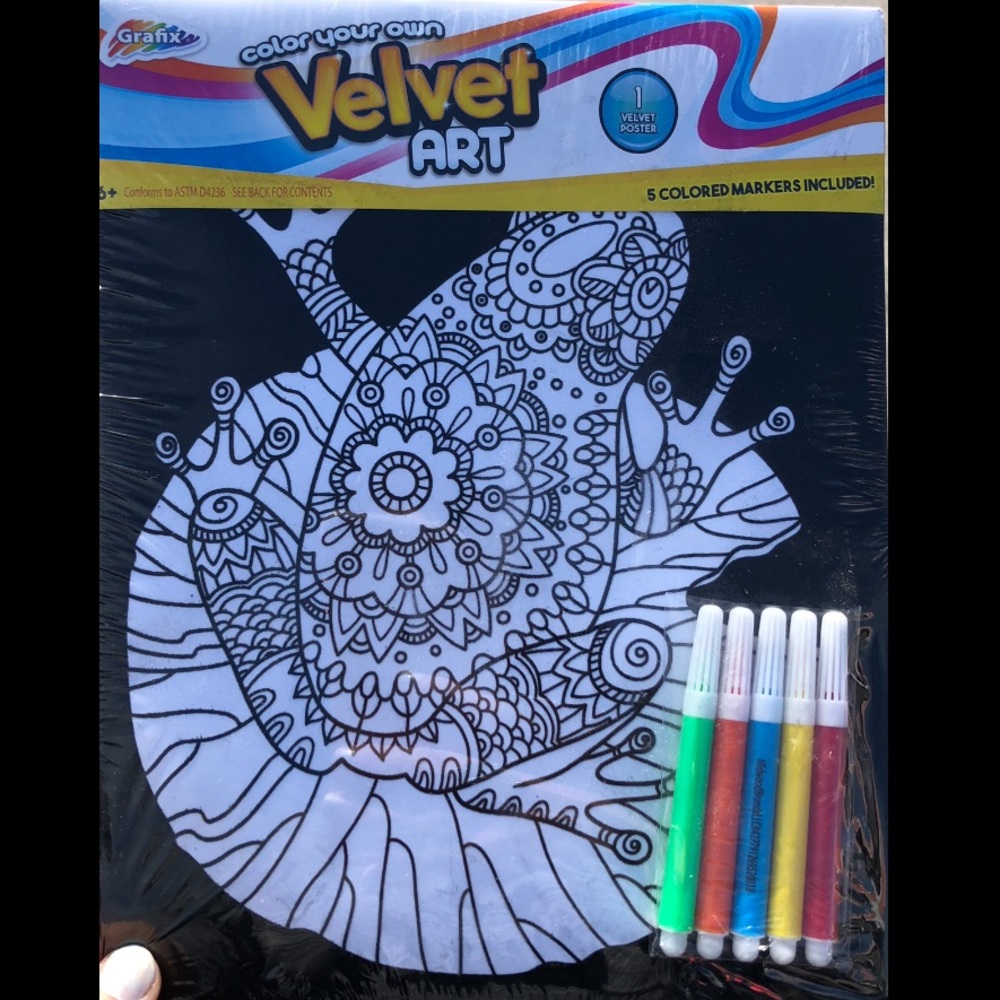 🐸1 Lisa Frank Inspired Velvet Art